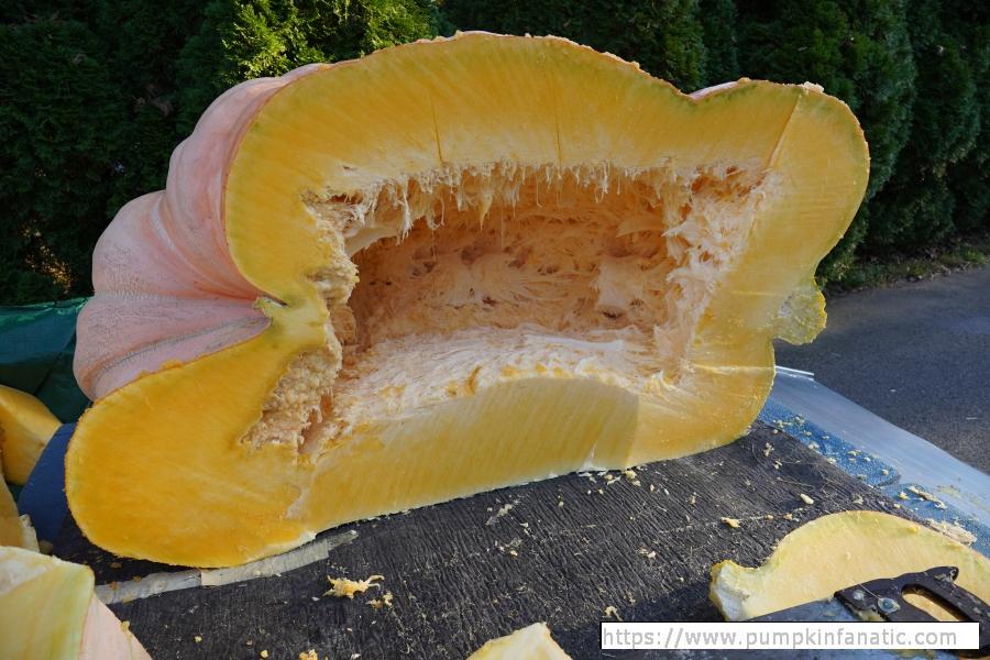 fruitImages/2587 DeBacco 2025C.jpg